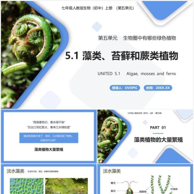 部编版七年级生物上册藻类、苔藓和蕨类植物课件PPT模板 部编版七年级生物上册藻类、苔藓和蕨类植物课件PPT模板