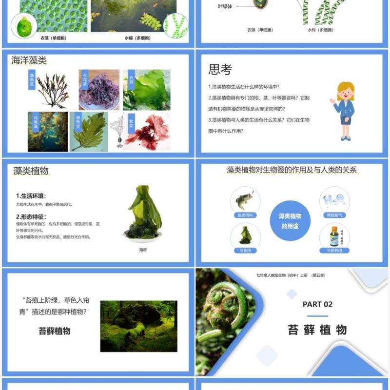 部编版七年级生物上册藻类、苔藓和蕨类植物课件PPT模板