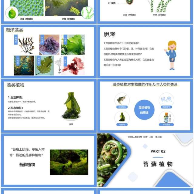 部编版七年级生物上册藻类、苔藓和蕨类植物课件PPT模板