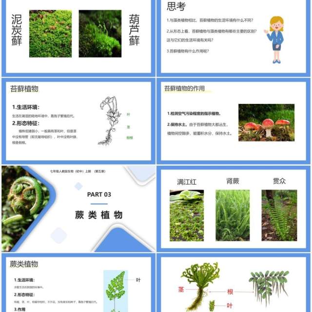 部编版七年级生物上册藻类、苔藓和蕨类植物课件PPT模板