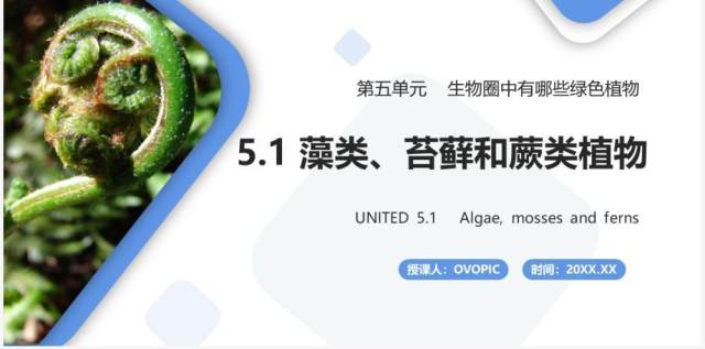 部编版七年级生物上册藻类、苔藓和蕨类植物课件PPT模板 部编版七年级生物上册藻类、苔藓和蕨类植物课件PPT模板