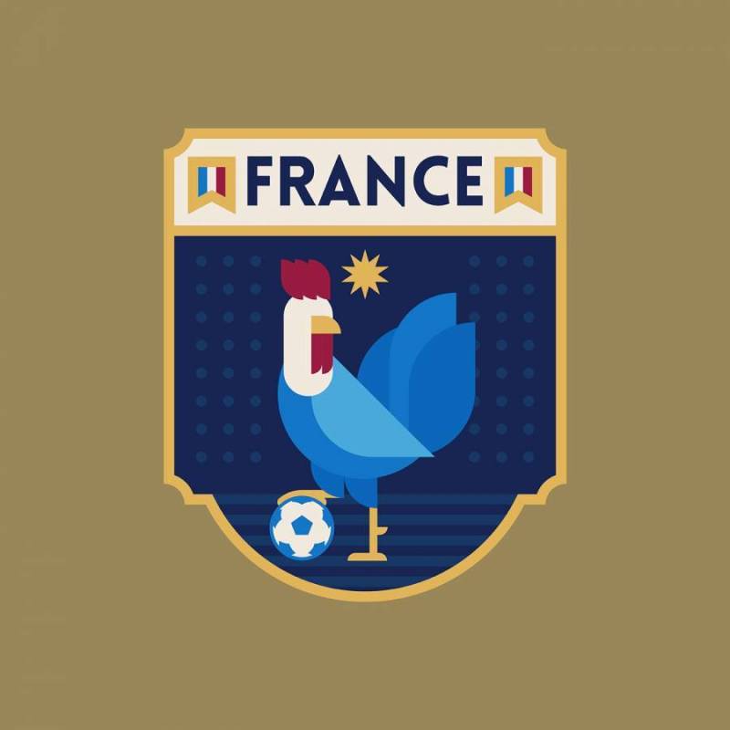 法国世界杯足球徽章