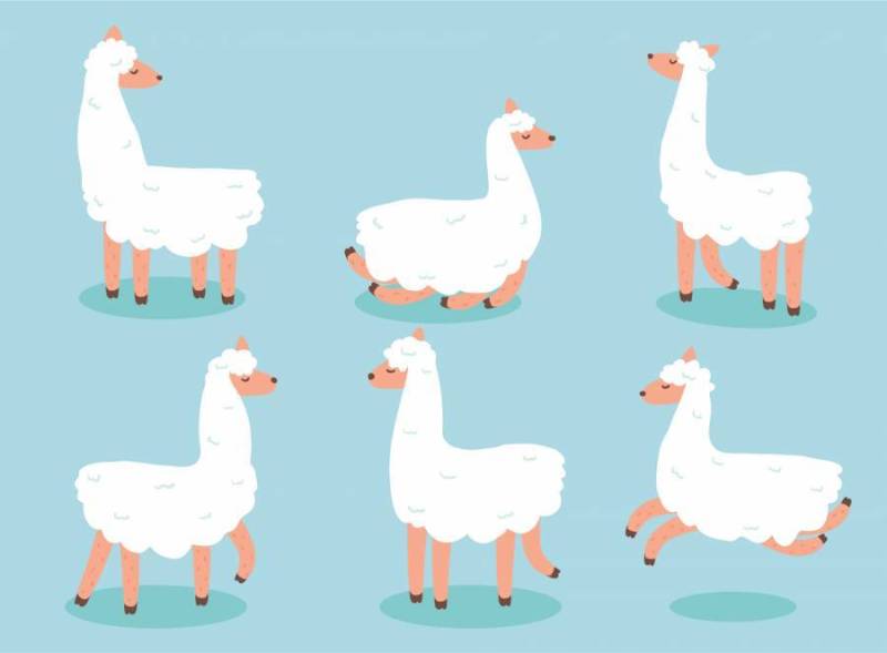 在蓝色传染媒介的白色Illama