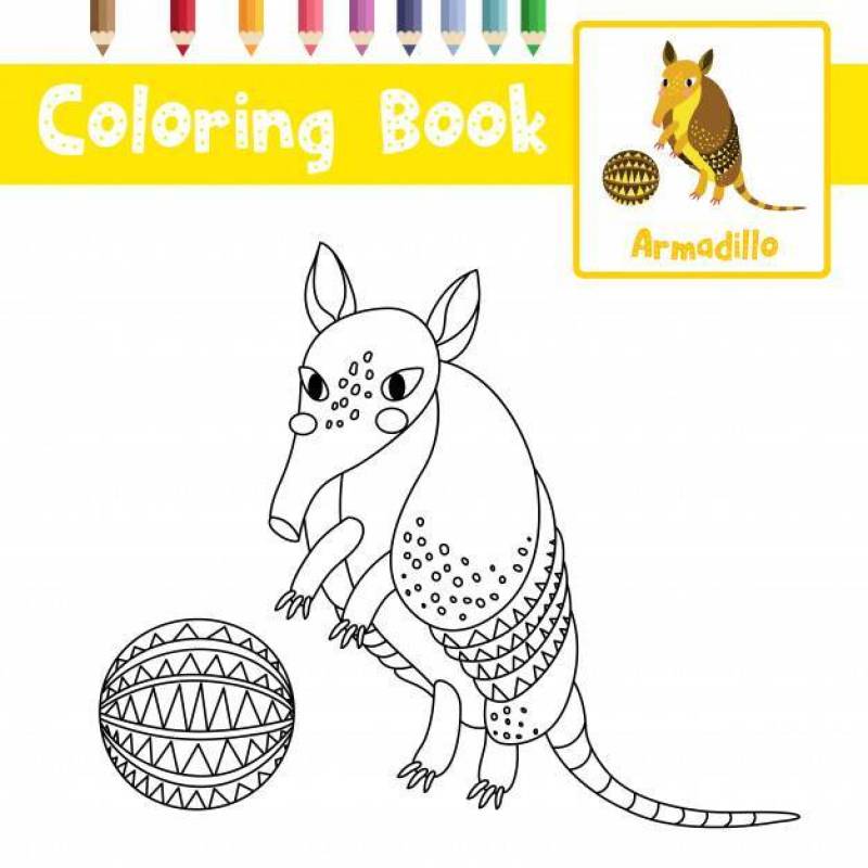 Armadillo with ball coloring page