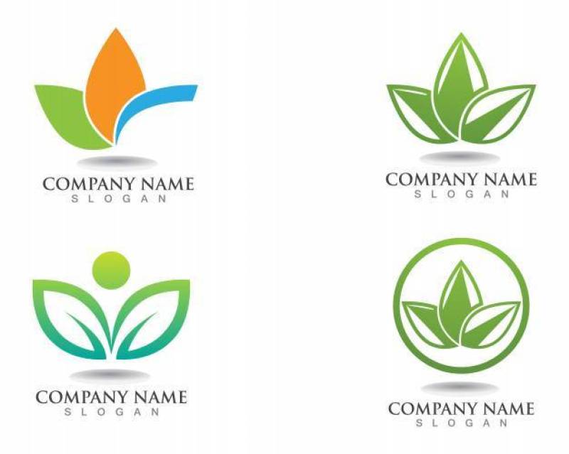 叶绿色自然商标和标志模板传染媒介
