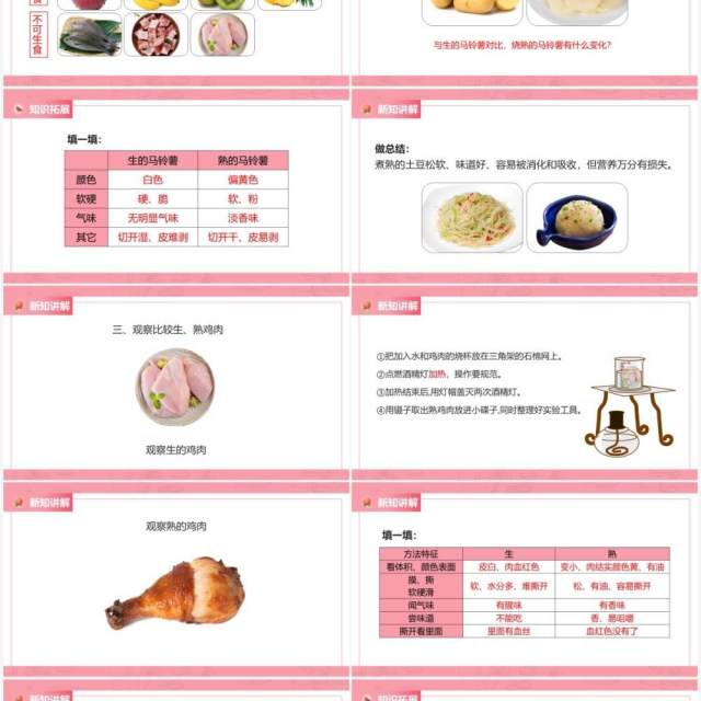 教科版四年级下册生的食物和熟的食物课件PPT模板 教科版四年级下册生的食物和熟的食物课件PPT模板