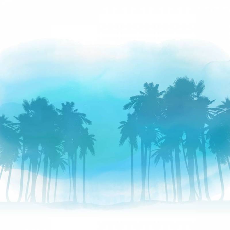 水彩的棕榈树