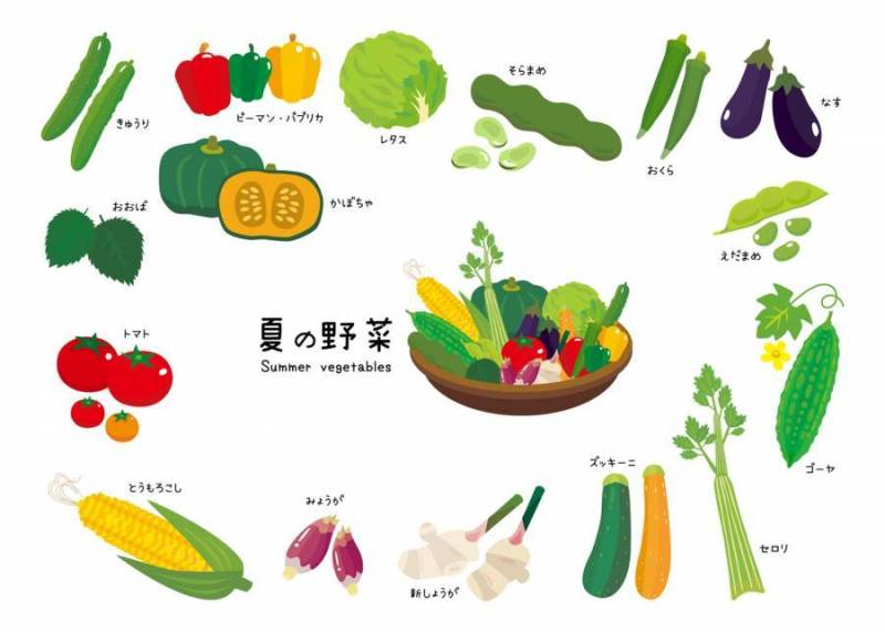夏天蔬菜