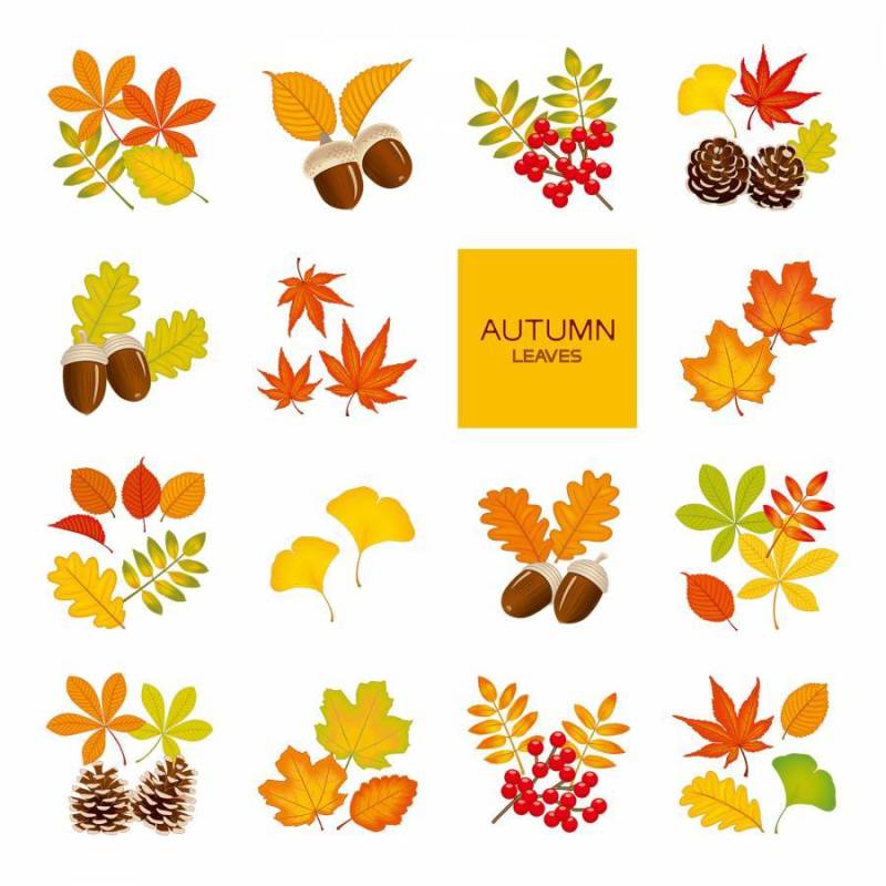 0841_autumn