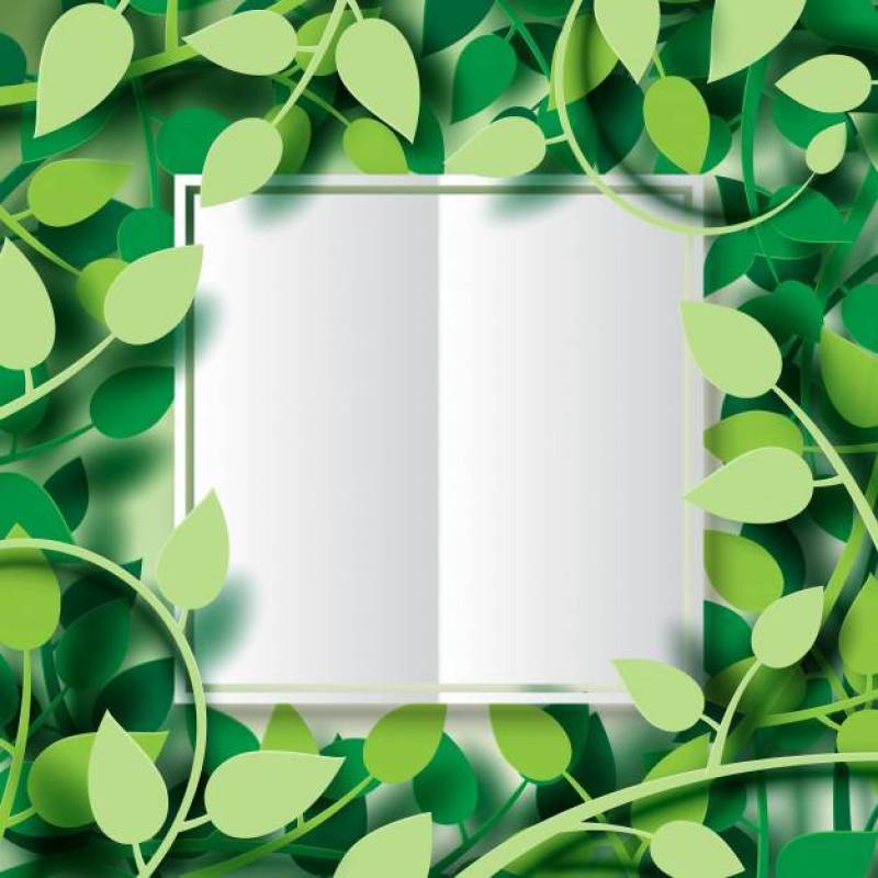 热带绿色叶子和白皮书背景。