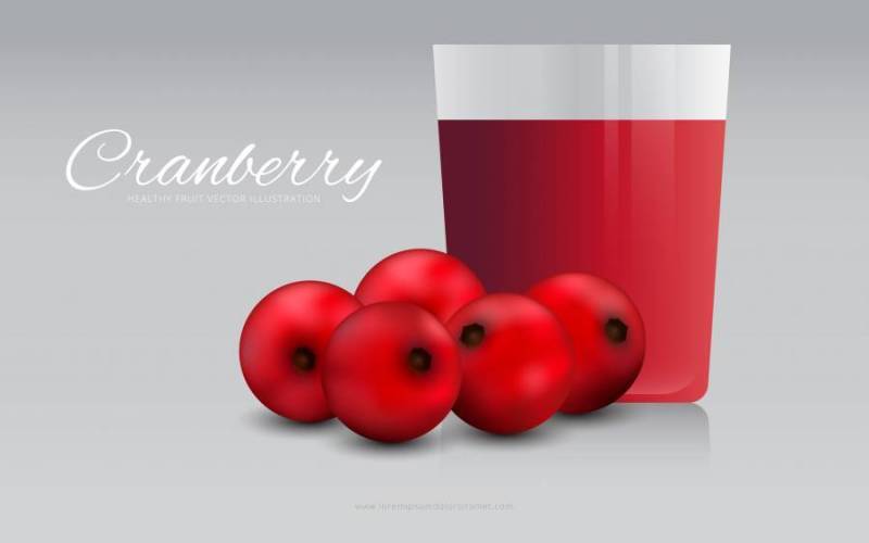 蔓越莓汁插图