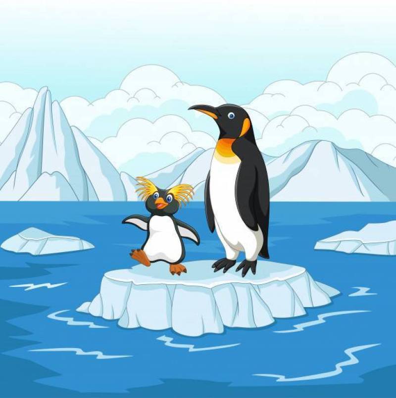 使用在冰川的动画片企鹅