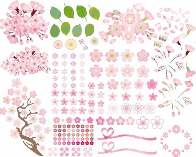 春天的花樱桃树樱花图标集粉红色的颜色