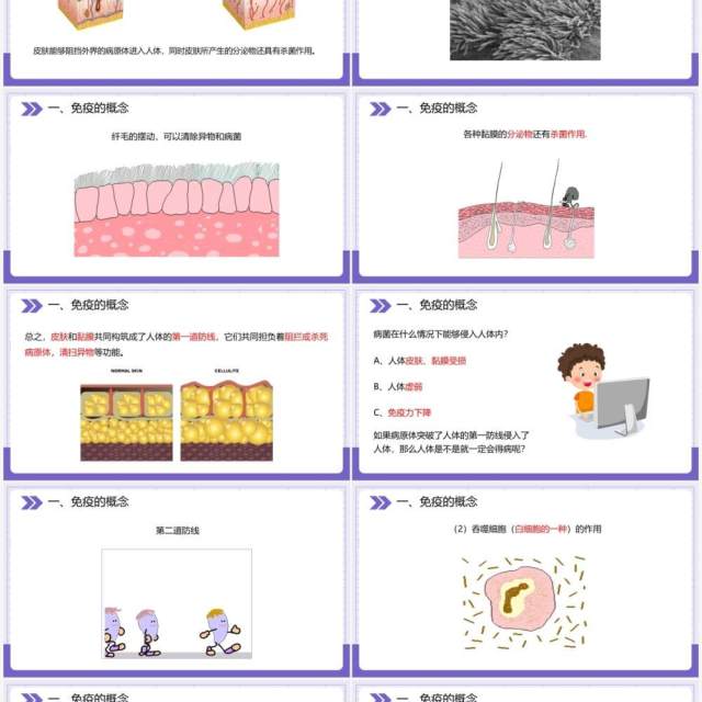 部编版八年级生物下册免疫与计划免疫课件PPT模板 部编版八年级生物下册免疫与计划免疫课件PPT模板
