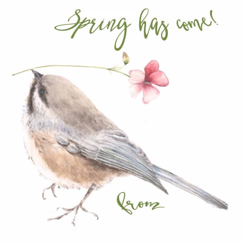 鸟和花 - 春天来了卡