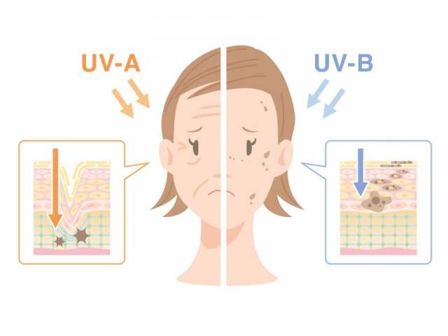 皮肤_紫外线辐射效果_脸部和部分