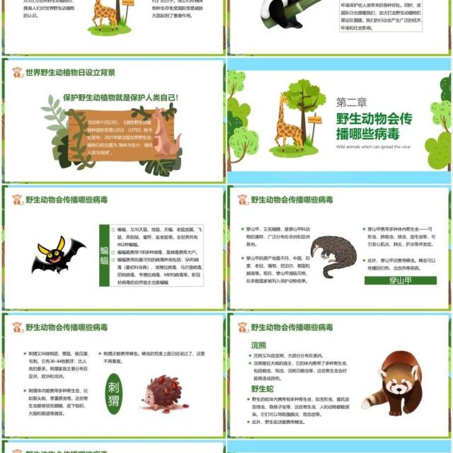 卡通风保护野生动植物日节日介绍PPT模板