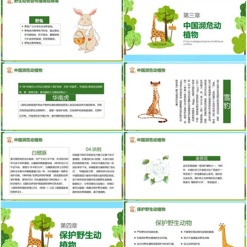 卡通风保护野生动植物日节日介绍PPT模板