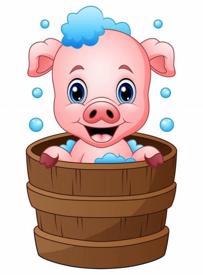 微笑的猪动画片沐浴的传染媒介例证