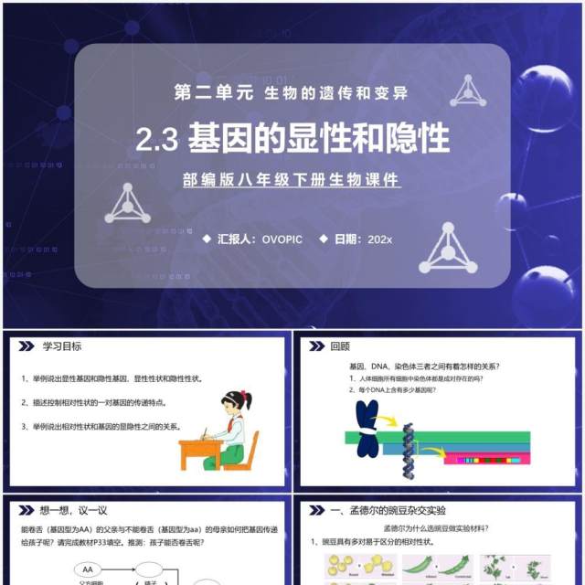 部编版八年级生物下册基因的显性和隐性课件PPT模板