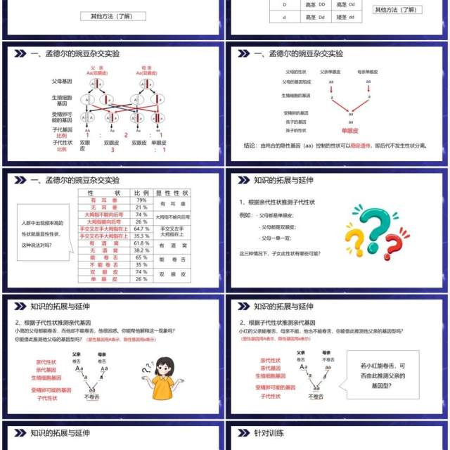 部编版八年级生物下册基因的显性和隐性课件PPT模板