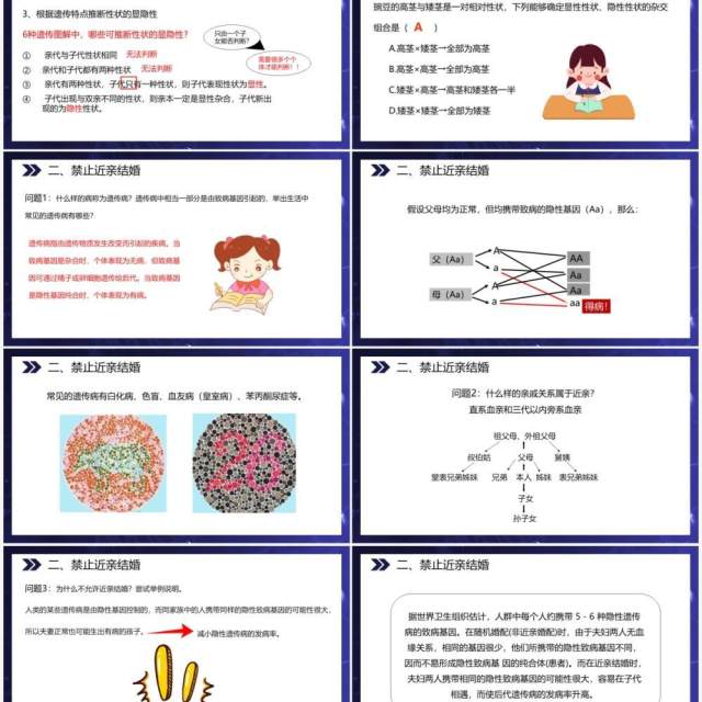 部编版八年级生物下册基因的显性和隐性课件PPT模板