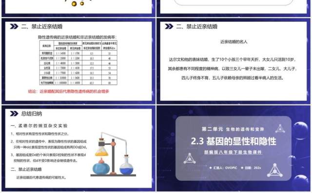 部编版八年级生物下册基因的显性和隐性课件PPT模板