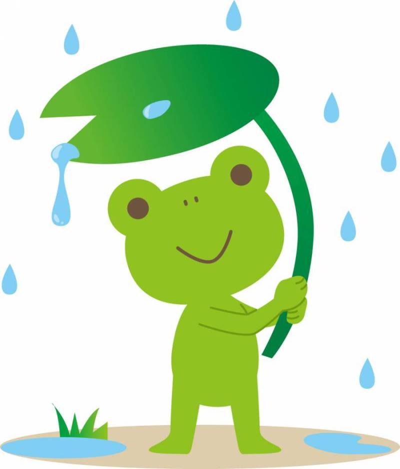青蛙和雨