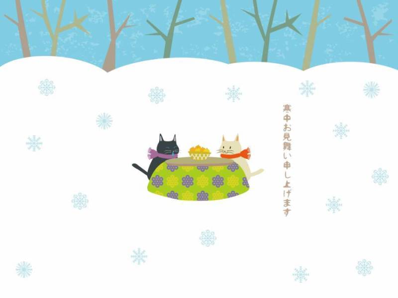 小柴猫的感冒药