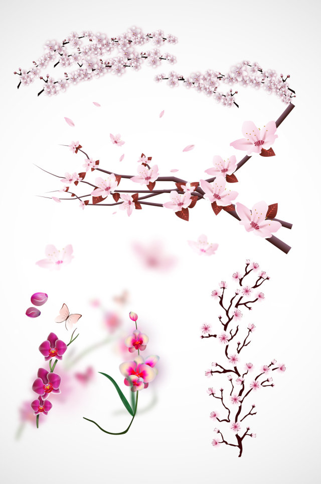 矢量逼真梅花图 矢量逼真梅花图
