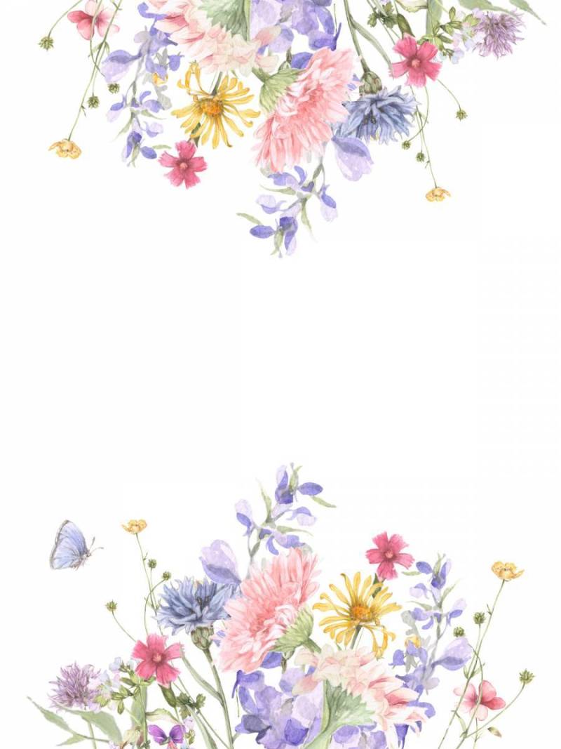 花框架206 - 非洲菊和花框架的多彩小花