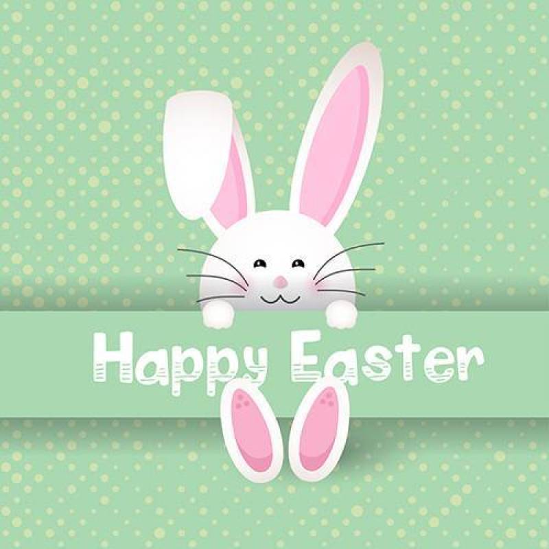 波尔卡圆点背景上可爱的复活节兔子
