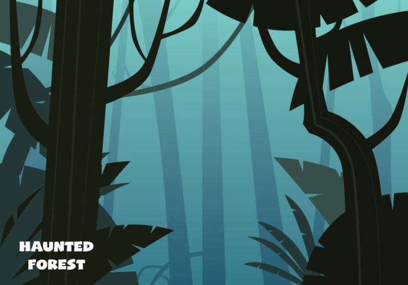 闹鬼的森林插图