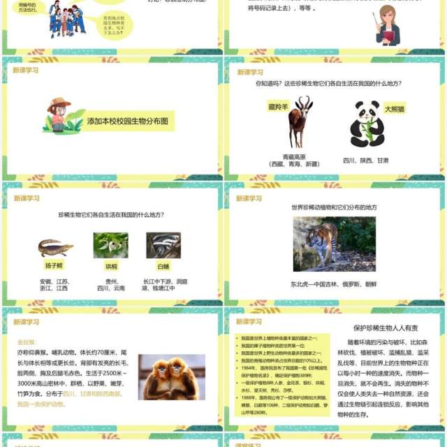 教科版六年级科学上册校园生物分布图PPT模板