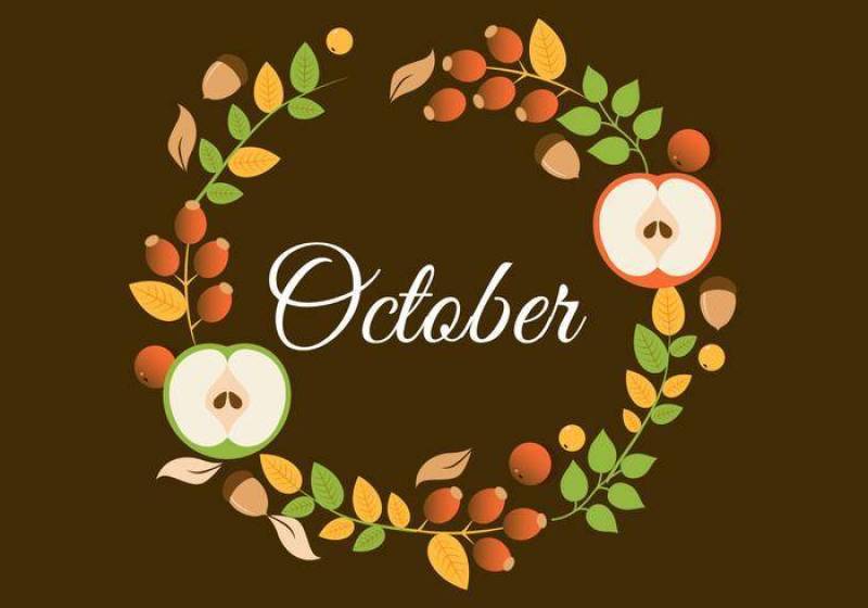  平面设计矢量秋天背景