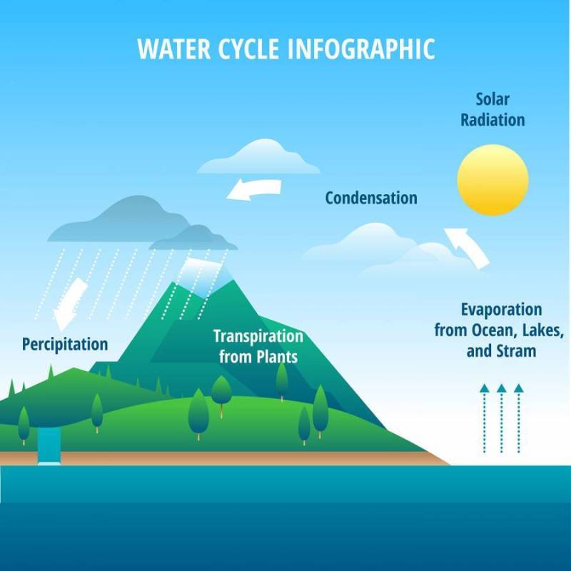 水循环信息图表矢量