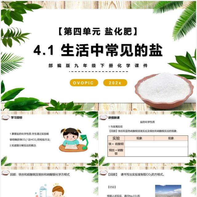 部编版九年级化学下册生活中常见的盐课件PPT模板 部编版九年级化学下册生活中常见的盐课件PPT模板