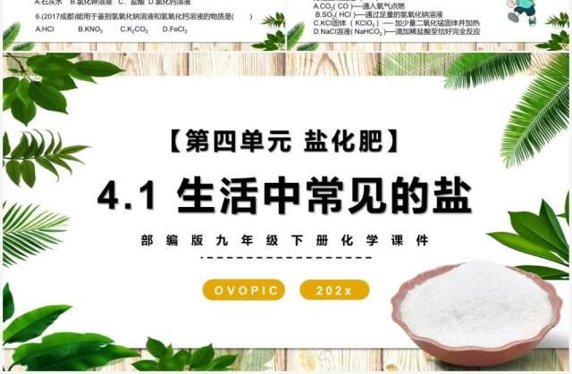 部编版九年级化学下册生活中常见的盐课件PPT模板 部编版九年级化学下册生活中常见的盐课件PPT模板