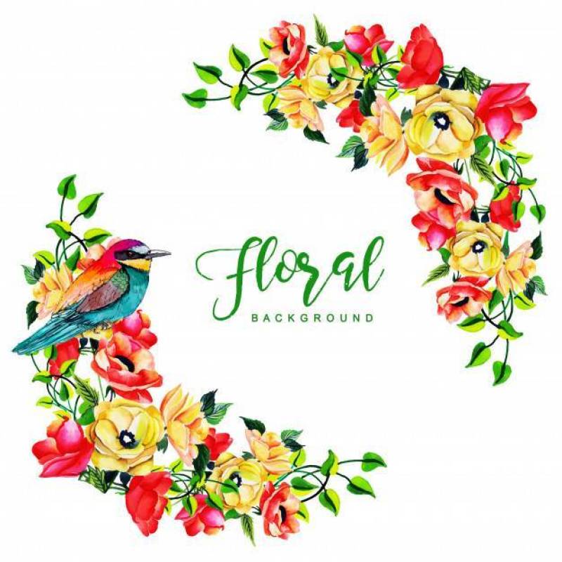 Watercolor Floral Frame Background With Bird