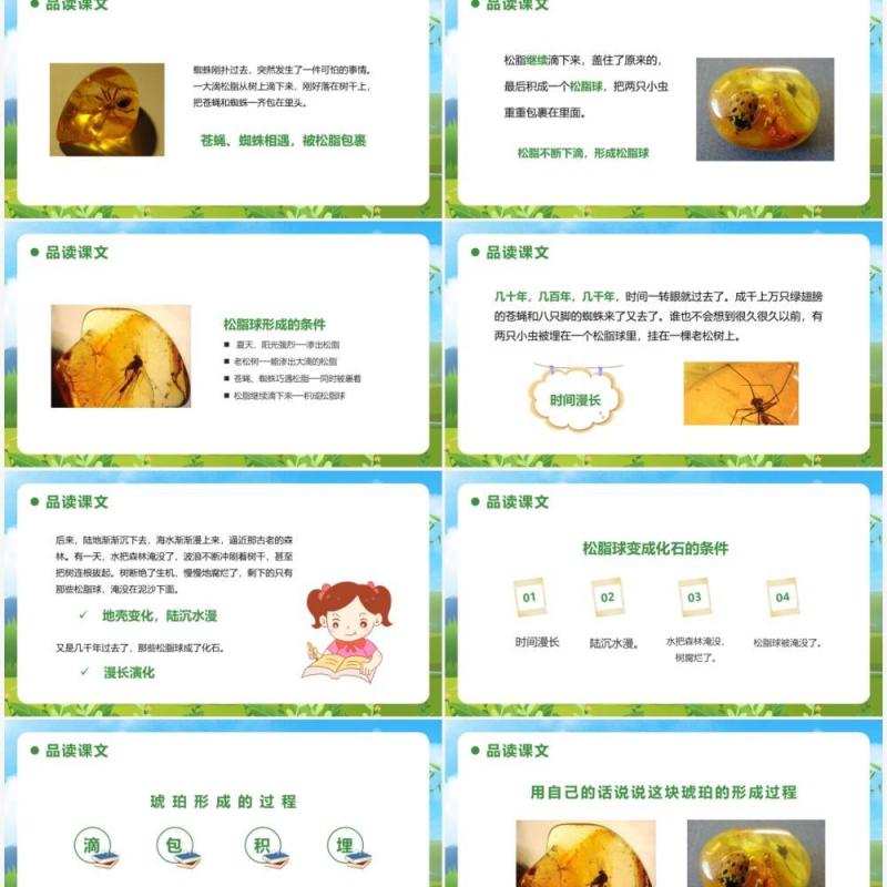 部编版四年级语文下册琥珀课件PPT模板