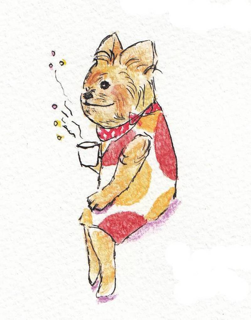 莫科里奇夫人下午