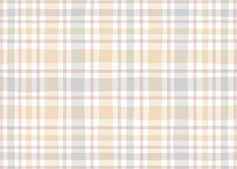 检查图案自然米色