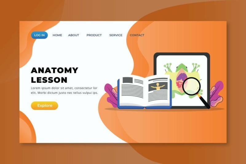 动物解剖学课程xd psd ai登录页UI界面矢量插画设计animal anatomy lesson xd psd ai landing page