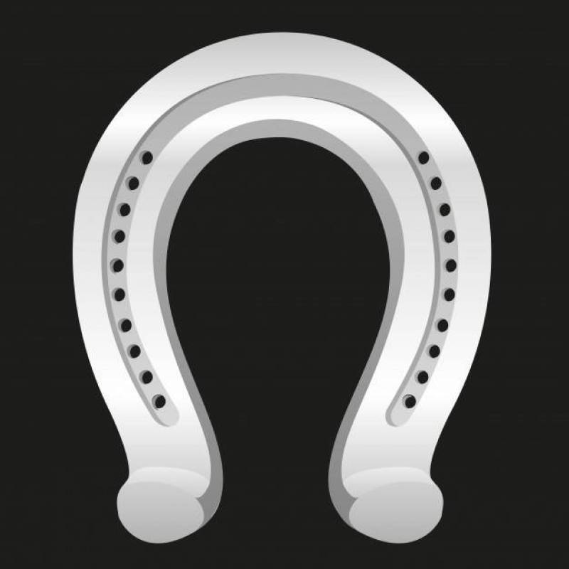 Horseshoe gray isolated on black vector illustration