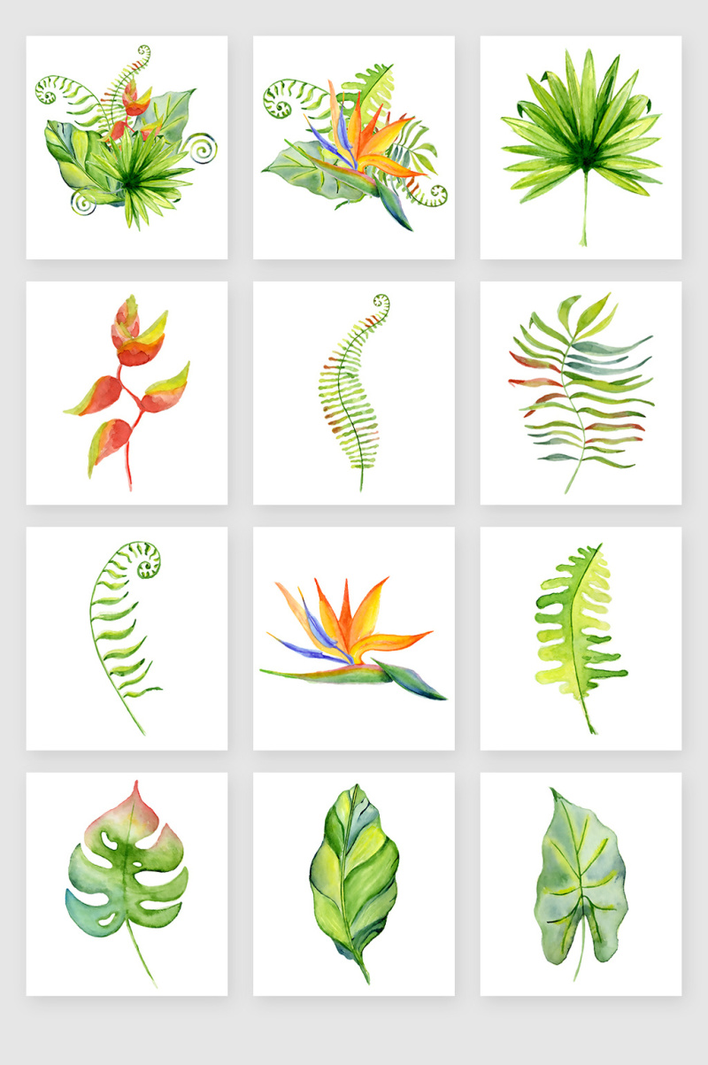 免扣图装饰图案绿色植物素材png格式