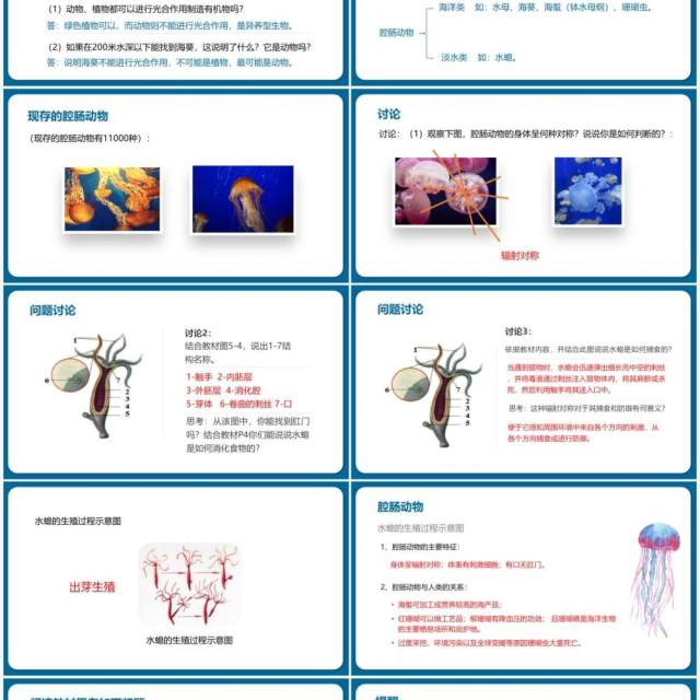 部编版八年级生物上册腔肠动物和扁形动物PPT模板