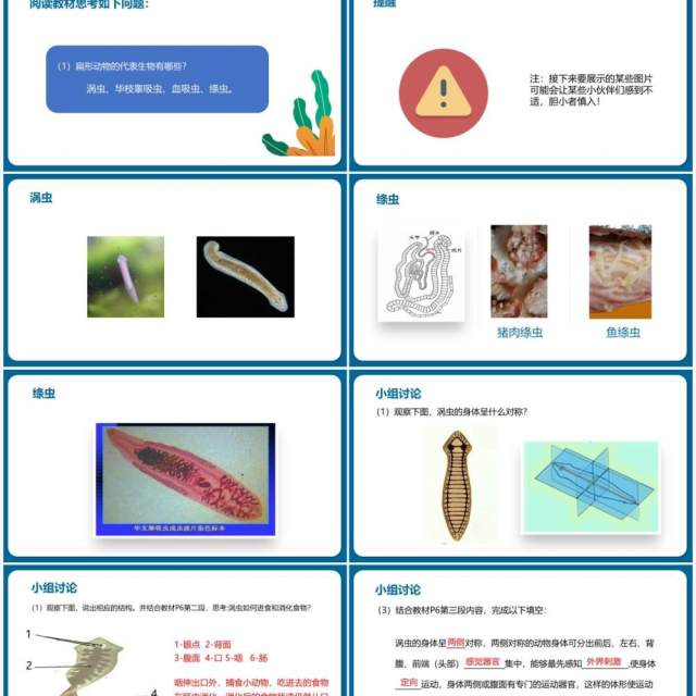 部编版八年级生物上册腔肠动物和扁形动物PPT模板