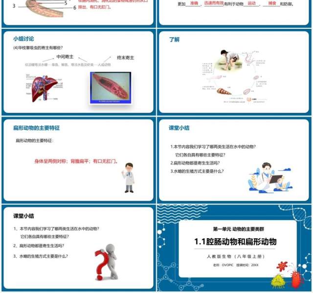 部编版八年级生物上册腔肠动物和扁形动物PPT模板