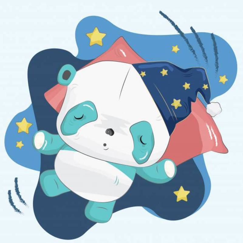 Little Panda Sleeping