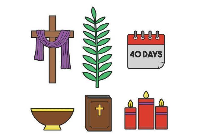 被借的传染媒介集合